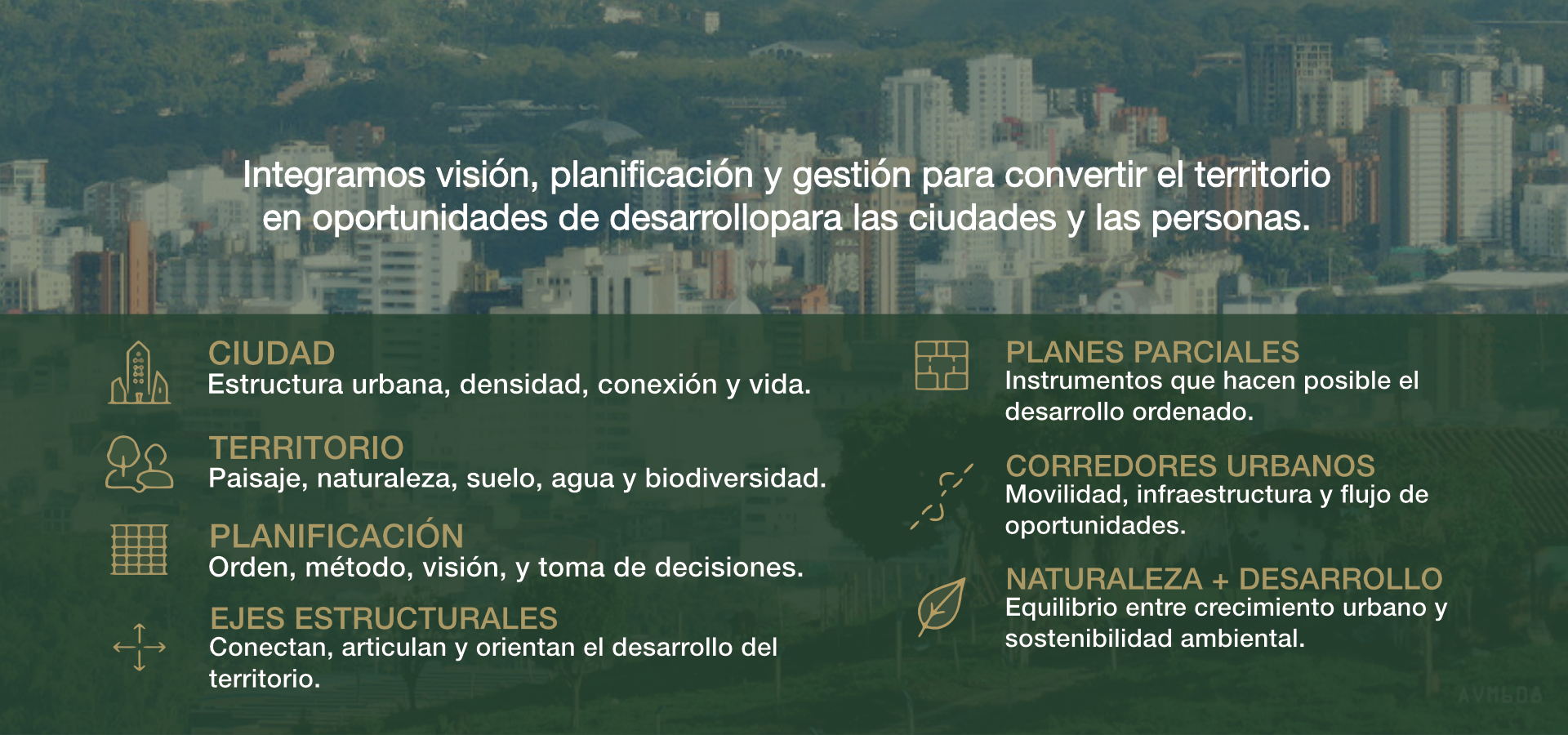 Imagen institucional Territorio Vivo